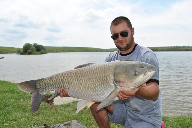 crapi - b7e525f7-69e3-4679-9537-1ccd5646e0d5.jpg